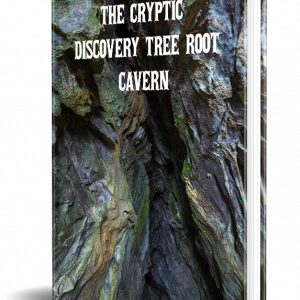 The Cryptic Discovery Tree Root Cavern